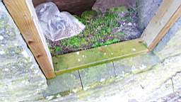 acastle 105720.jpg